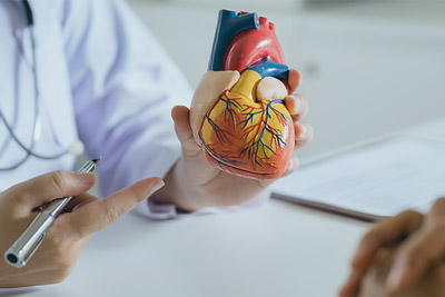 Kardiologie